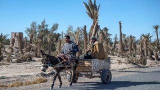 طقس حار نسبياً في مناطق متفرقة اليوم السبت