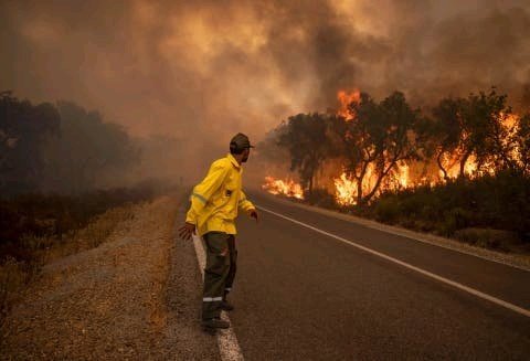 المغرب يتحرك لمواجهة حرائق الغابات بالشمال