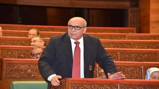 اللبار : ما تقوم به المعارضة يمكن أن تستفيد منه الأغلبية