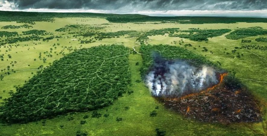 دول الأمازون تنشئ تحالفا للمحافظة على رئة العالم