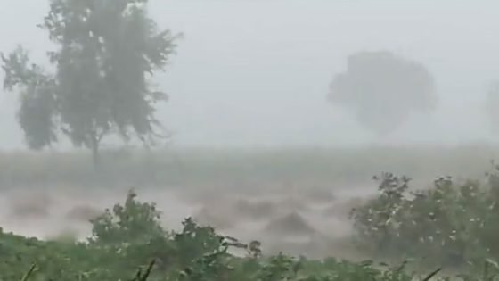 عاصفة قوية تضرب ولاية هاريانا شمالي الهند