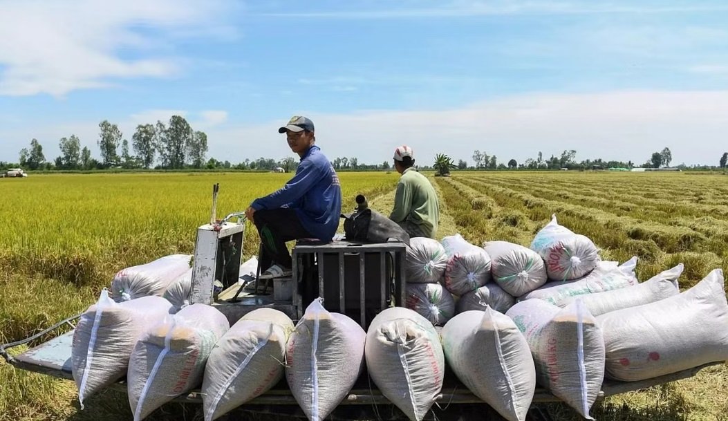 بسبب التغير المناخي.. ارتفاع أسعار الأرز ينذر بمخاطر غذائية