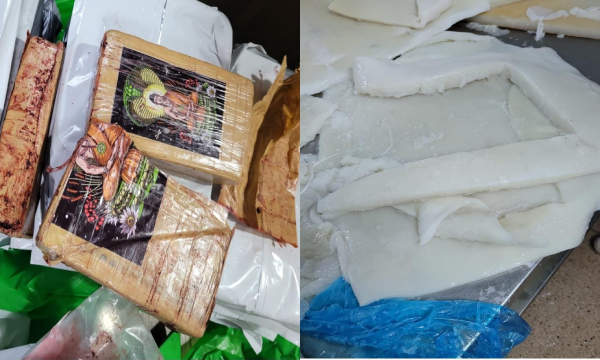 العثور على أزيد من طن من الكوكايين داخل “شحنة أسماك مجمدة”
