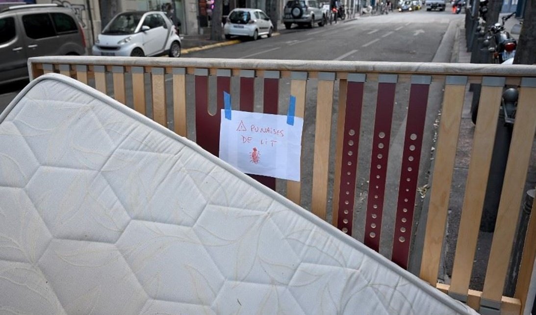 فرنسا تقرر إغلاق سبع مؤسسات تعليمية بسبب انتشار “بق الفراش”