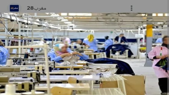 قانون مالية 2024 ووضعية سوق الشغل بالمغرب