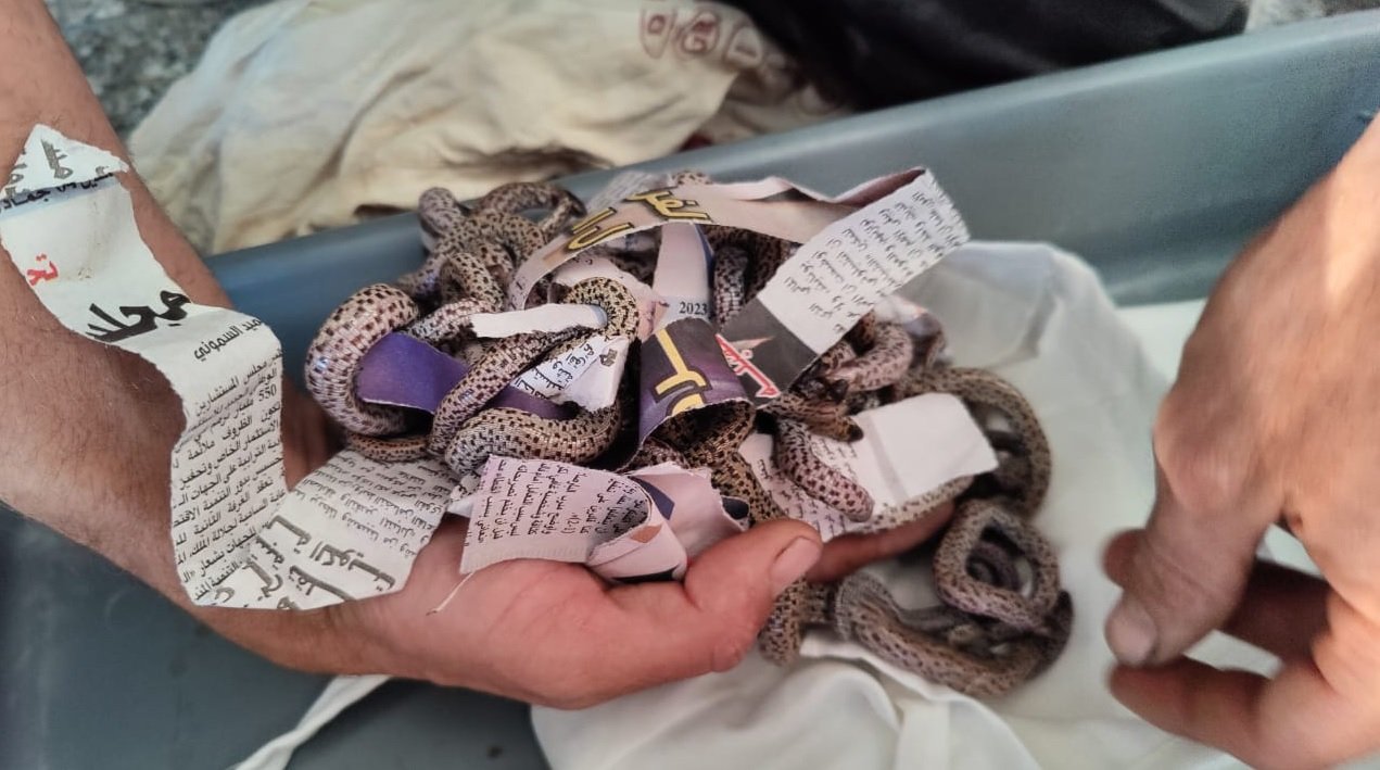 إحباط محاولة لتهريب عدد كبير من الزواحف بمطار مراكش-المنارة