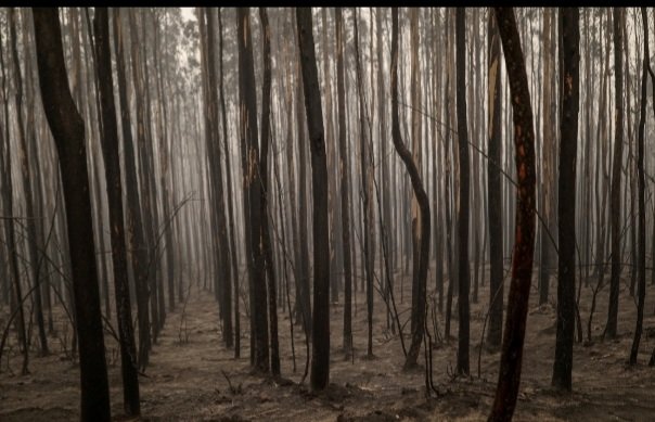 الارض تواجه خمس نقاط تهدد البشرية حسب “تحولات كوكبية”