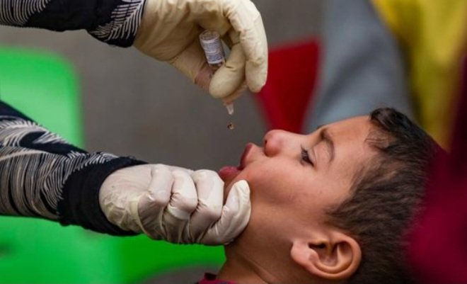 تقرير .. 2023 كان حافلا بالإنجازات حسب مدير منظمة الصحة العالمية