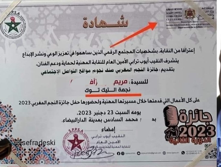 وزارة الثقافة ترد على تقديم شهادة تقديرية لناشطة على “تيك توك”