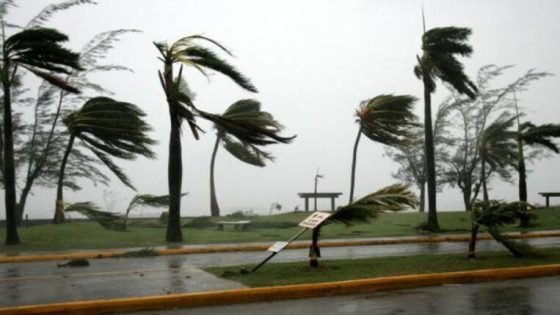 تحذيرات لمستعملي الطريق بسبب هبوب رياح قوية بعدد من مناطق المملكة