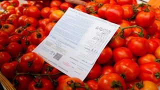 الأردن يصدّر 500 طن من البندورة لإسرائيل في أسبوع