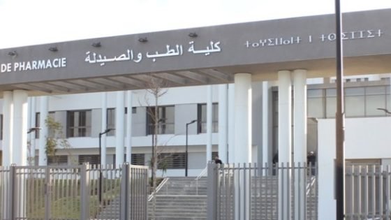 من بينها الرشيدية.. مجلس الحكومة يصادق على إحداث كليات طب جديدة