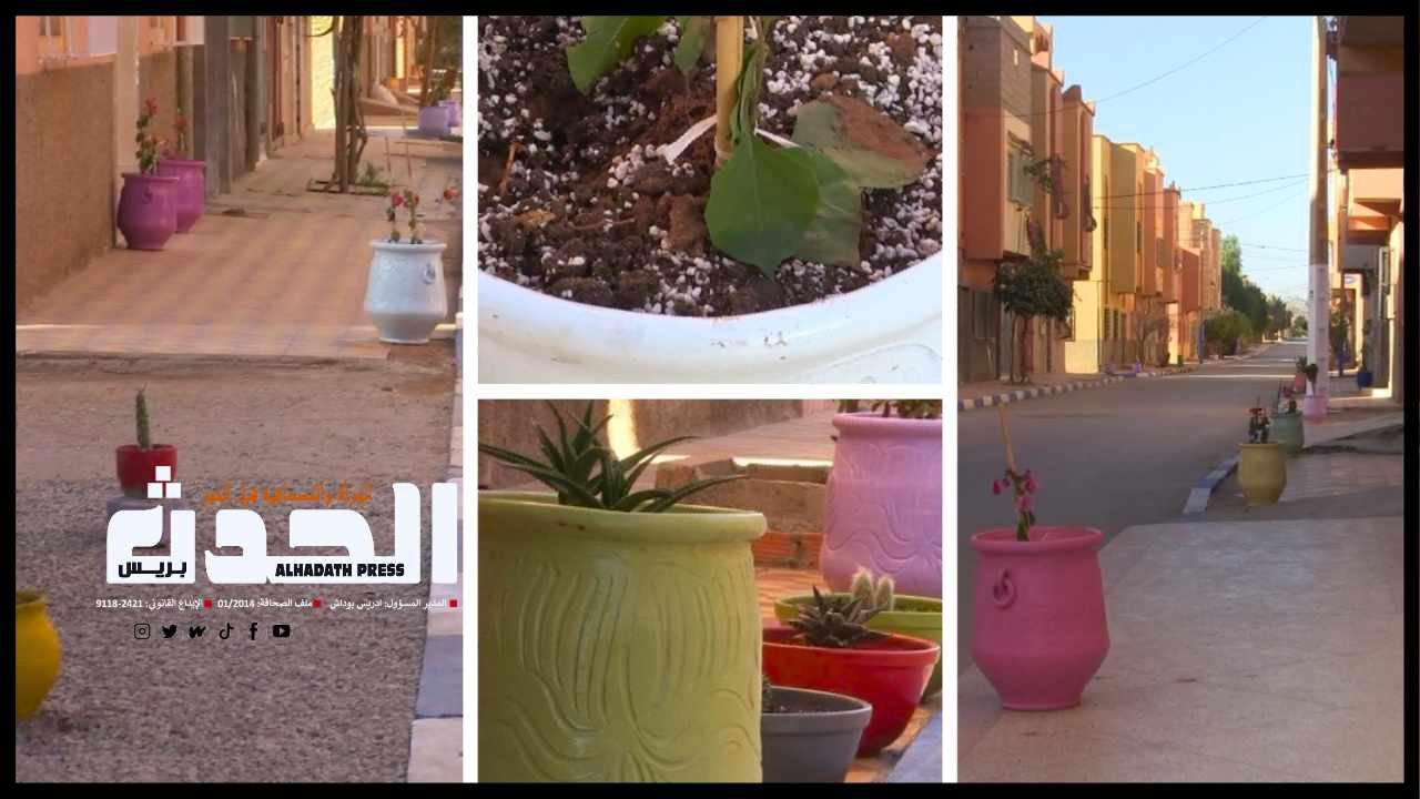بالفيديو : رغم قلة الامكانيات ساكنة حي عين العاطي 2 تبدع في تزيين حيها