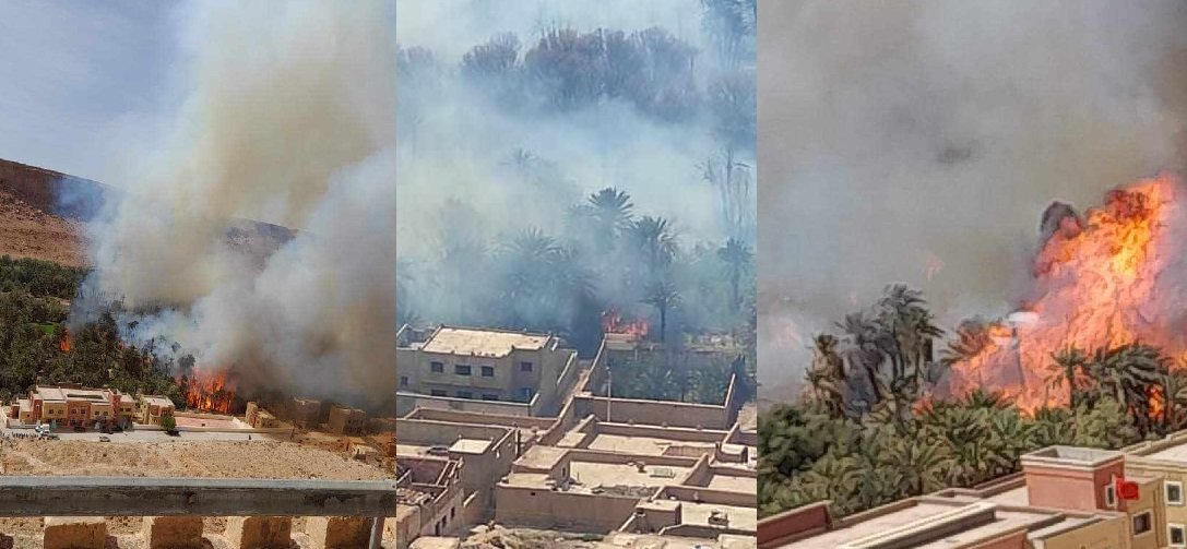 اندلاع حريق مهول بغابة ولاد شاكر إقليم الرشيدية