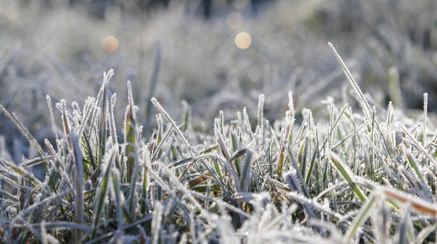 طقس الإثنين.. موجة برد تجتاح عدة مناطق بالمملكة