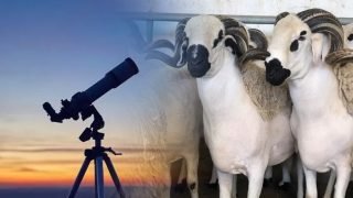 الحسابات الفلكية تكشف موعد عيد الأضحى بالمغرب لسنة 2024