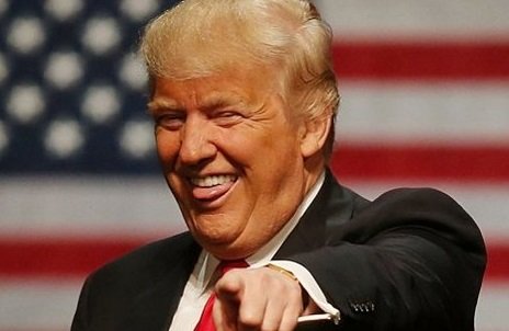 ترامب يصف المهاجرين غير الشرعيين بـ”الحيوانات”