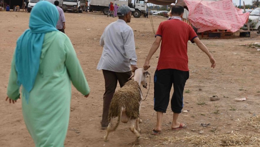 مطالب للحكومة بصرف مبالغ الدعم الاجتماعي المباشر قبل عيد الأضحى