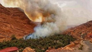 تحذير من وقوع حرائق الغابات في عدد من الأقاليم