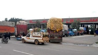 الحكومة تسن تدابير خاصة تتعلق بالتسويق المباشر للفواكه والخضروات