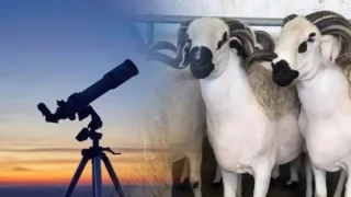 فاتح ذي الحجة غدا السبت و عيد الأضحى يوم الإثنين 17 يونيو 2024 (وزارة الأوقاف و الشؤون الإسلامية)