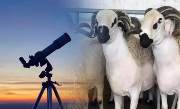 فاتح ذي الحجة غدا السبت و عيد الأضحى يوم الإثنين 17 يونيو 2024 (وزارة الأوقاف و الشؤون الإسلامية)