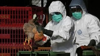 وفاة أول مصاب بشري بفيروس “إتش 5 إن 2”