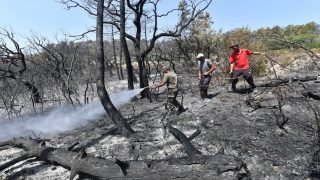 الجزائر تسجل 73 حريقا في 48 ساعة