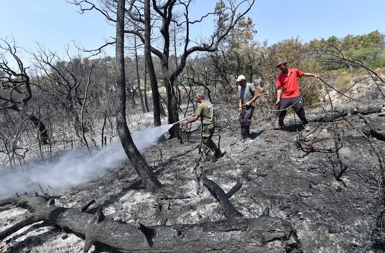 الجزائر تسجل 73 حريقا في 48 ساعة