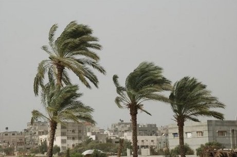 طقس حار نسبيا ورياح قوية بهذه المناطق