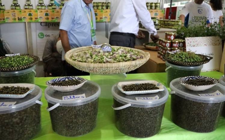 آسفي : إنطلاق النسخة السادسة للمعرض الوطني للكبار