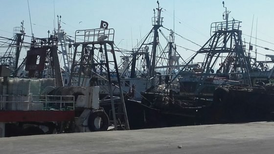 ميناء طانطان..إنخفاض مفرغات الصيد الساحلي و التقليدي بـ48 في المائة عند متم يونيو