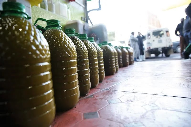 الحكومة تتجه إلى استيراد زيت الزيتون تفاديا لإرتفاعات قياسية في الأسعار