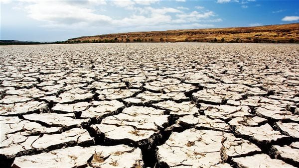 ورشة عمل إقليمية بالقاهرة حول مواجهة التصحر و دعم الأمن الغذائي بالمنطقة العربية