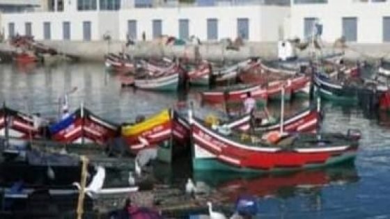 ارتفاع حجم تفريغ الأسماك خلال النصف الأول من سنة 2024 بميناءالجديدة إلى 22%