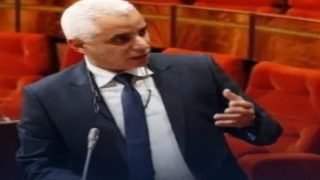 وزير الصحة يطمئن ساكنة إقليم تزنيت من داء ” الليشمانيا”