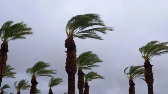 نشرة إنذارية حمراء…أمطار رعدية قد تتسبب في فيضانات بهذه المدن اليوم الجمعة