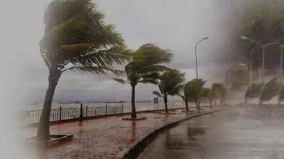 نشرة إنذارية: أمطار رعدية جد قوية مع هبات الرياح مرتقبة بعدد من أقاليم المملكة