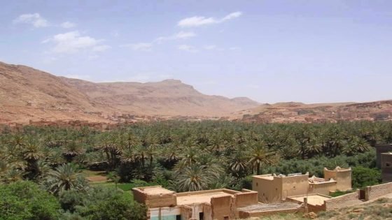 مشروع “ميثاق الواحات المستدامة” محور ورشة تشاورية بالرشيدية