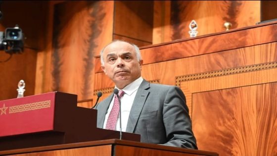 شكيب بنموسى يستجيب لدعوة مجلس النواب لمناقشة المشاركة الضعيفة للمغرب في أولمبياد باريس