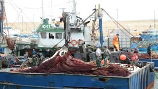 ميناء بوجدور..إرتفاع مفرغات الصيد الساحلي و التقليدي بنسبة 4 بالمائة عند متم شهر غشت الماضي (المكتب الوطني للصيد)