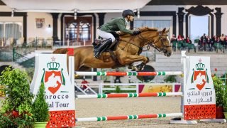 الرباط..إنطلاق منافسات المرحلة الثانية من الدورة الثالثة عشرة للدوري الملكي المغربي الدولي للقفز على الحواجز