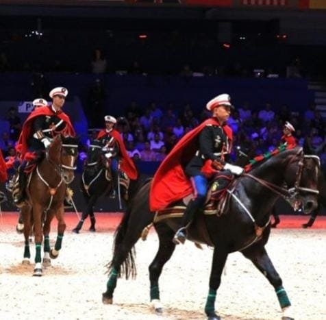 الجديدة: الدورة 15 لمعرض الفرس إستقطبت حوالي 200 ألف زائر