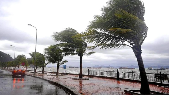 نشرة إنذارية : زخات قوية قد تكون عاصفية محليا بعدد من أقاليم المملكة