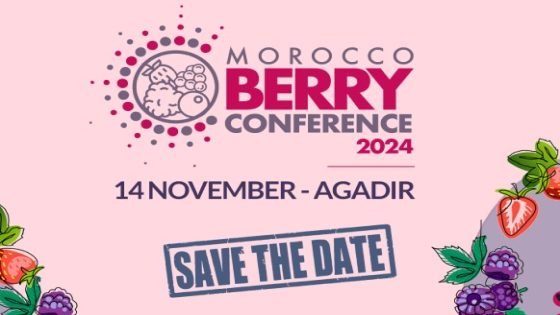 أكادير تستضيف فعاليات النسخة الخامسة من تظاهرة “موروكو بيري”