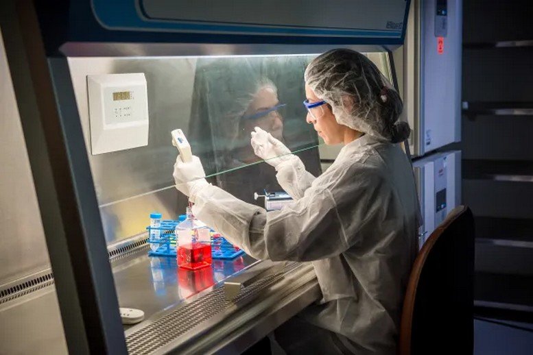 مستحضرات تجميل أوروبية تسبب العقم والسرطان