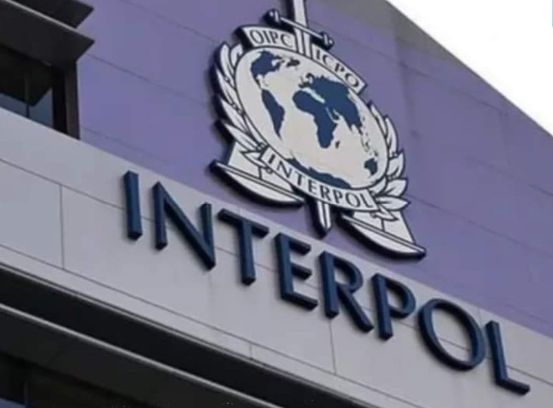 12 مغربيًا مطلوبون من قبل الإنتربول..صدرت في حقهم مذكرة بحث دولية
