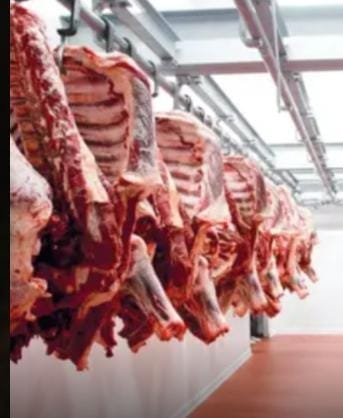 المغرب يوقع اتفاقية جديدة لاستيراد اللحوم الحمراء من الخارج