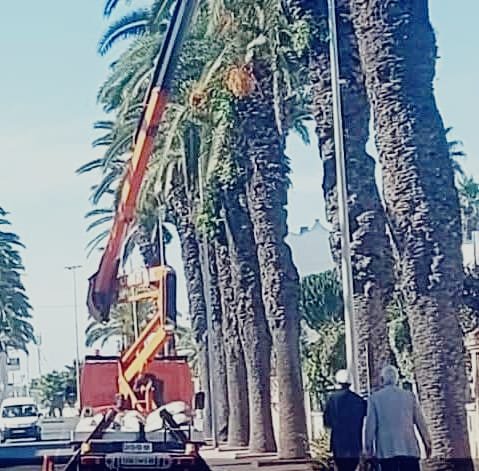 استبدال المصابيح القديمة بأخرى اقتصادية من نوع” LED” من طرف جماعة الجديدة