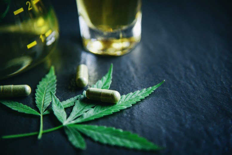 مستخلص من القنب الهندي… شركة مغربية تستعد لإطلاق دواء جديد لعلاج الصرع